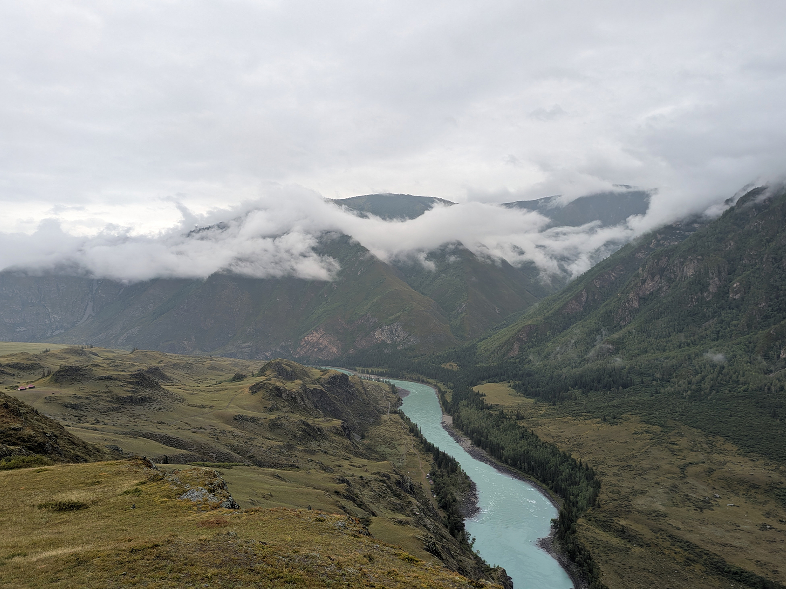 Фото из отзыва