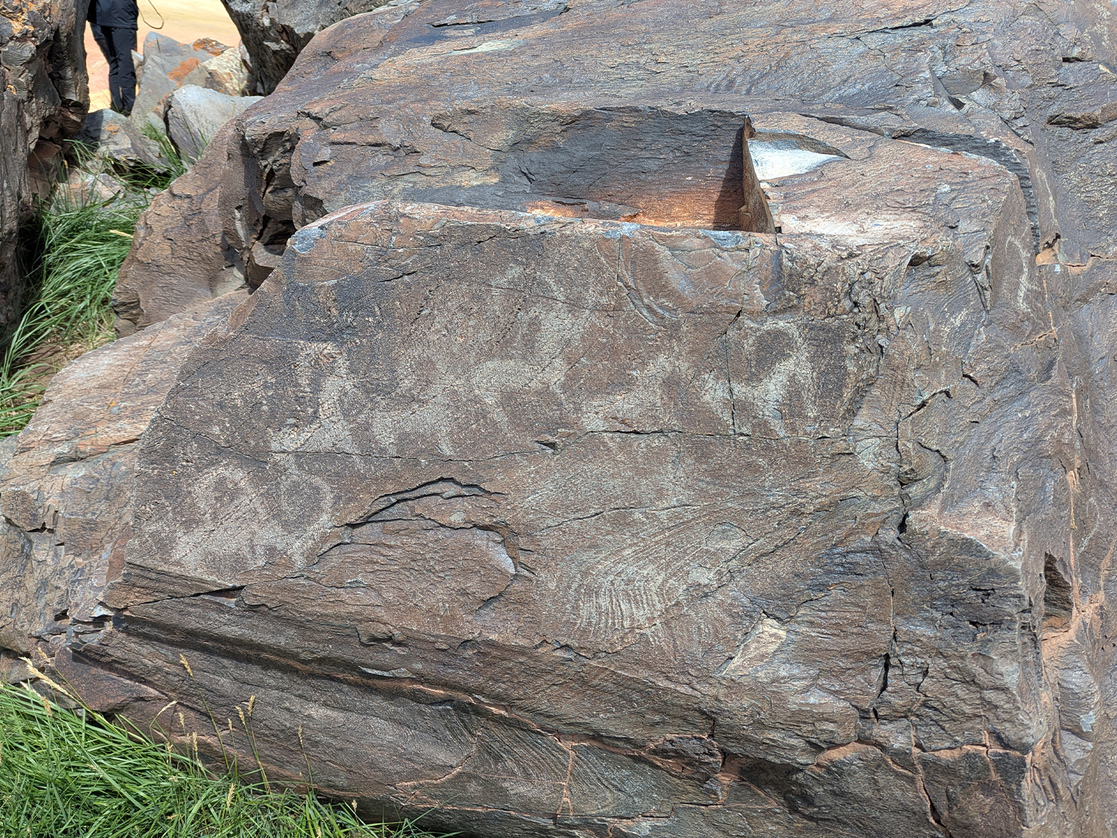 Фото из отзыва