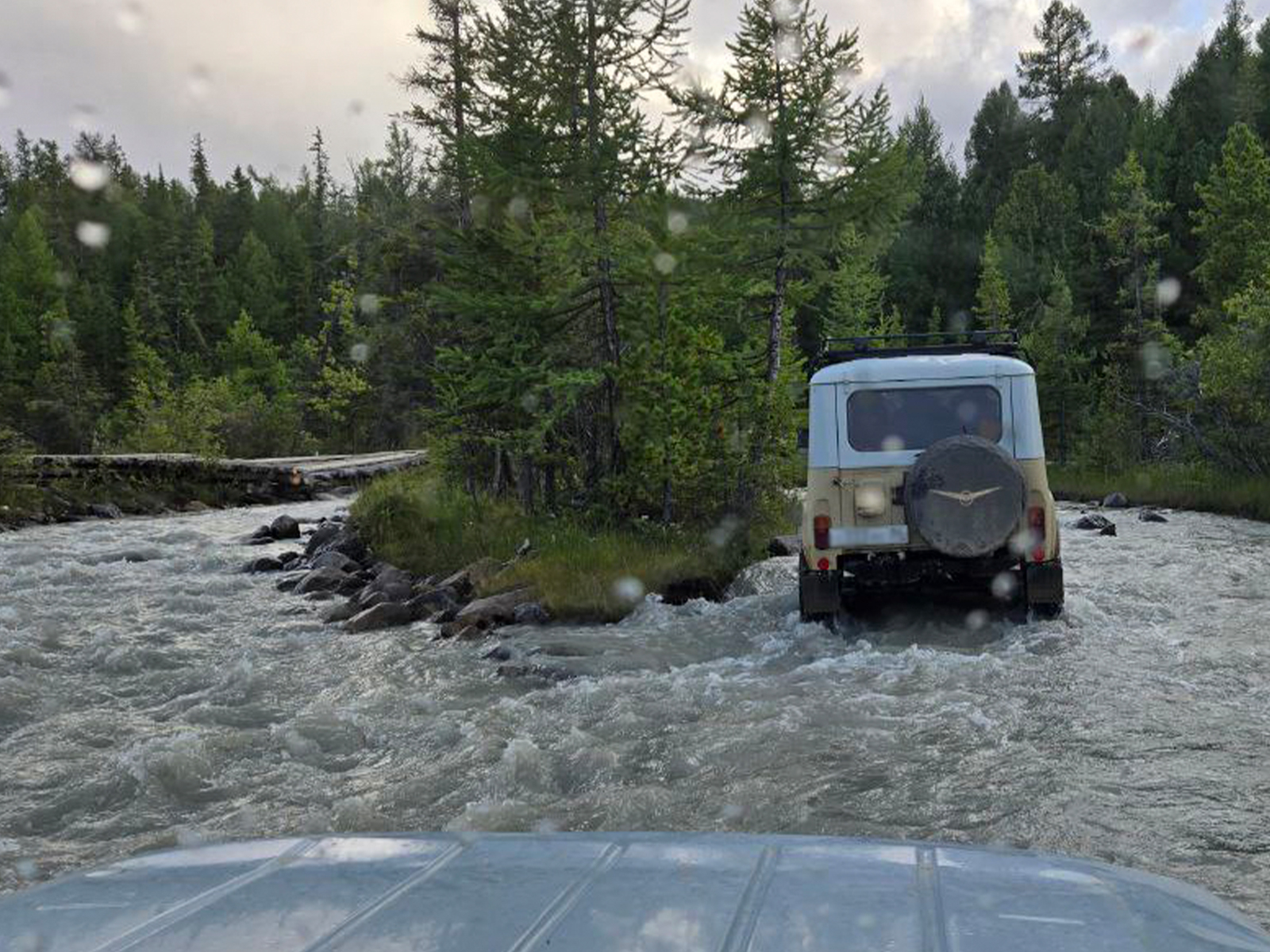 Фото из отзыва