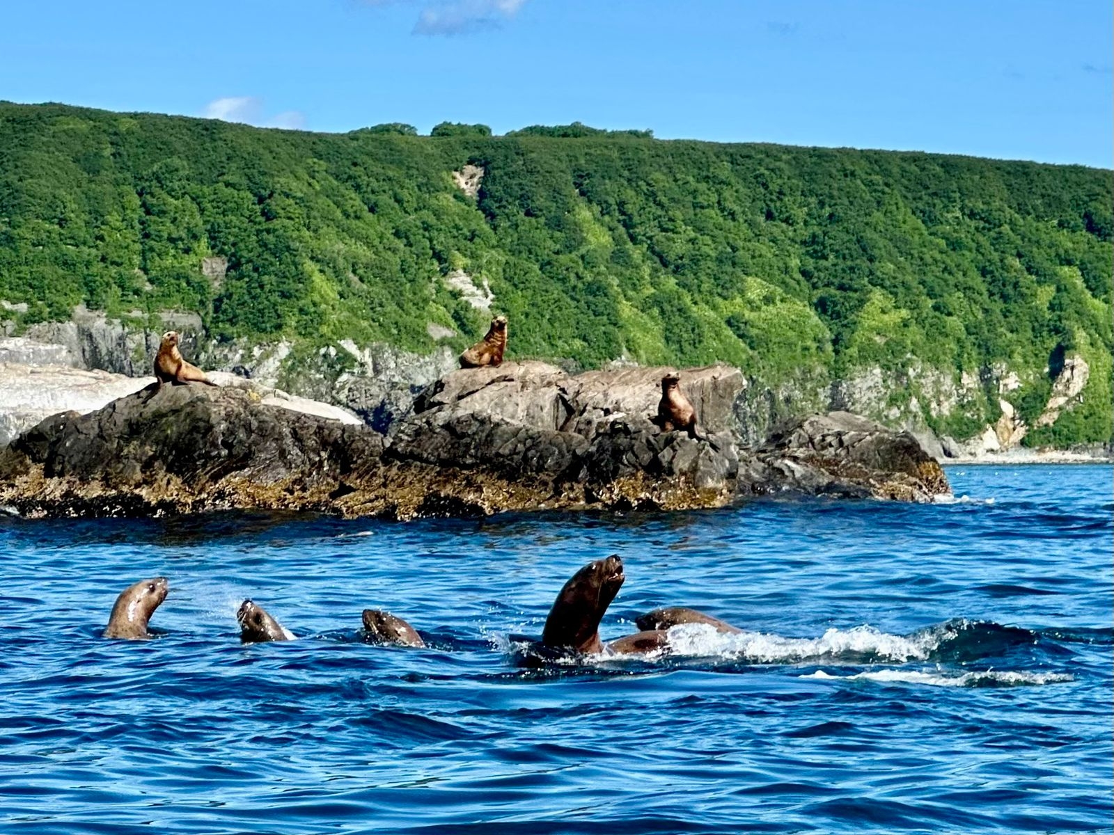 Фото из отзыва