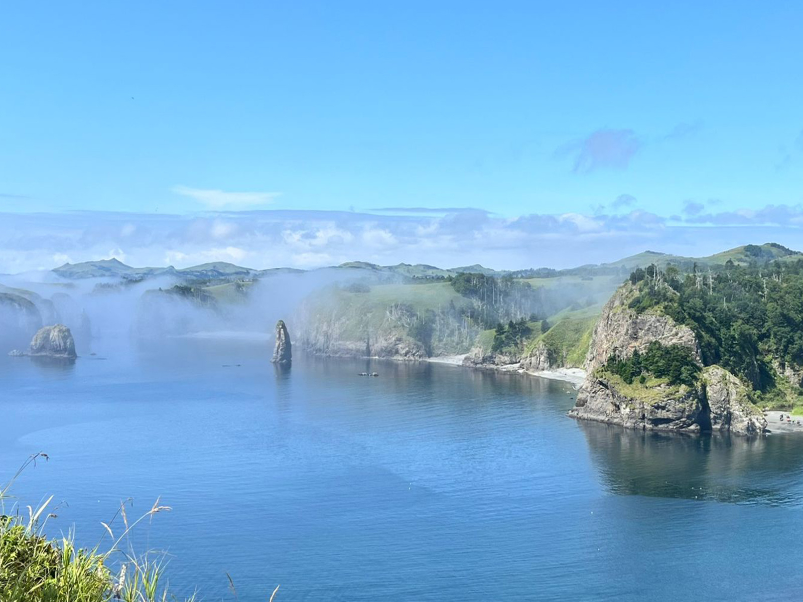 Фото из отзыва