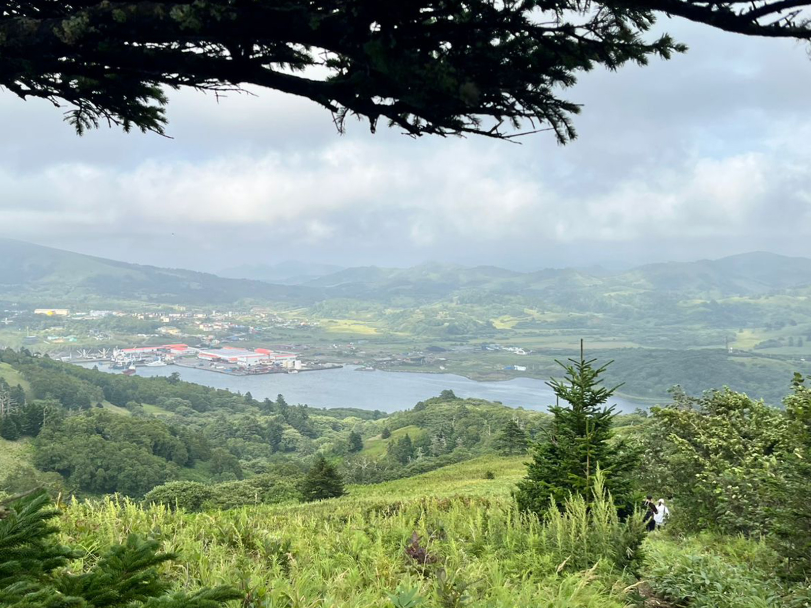 Фото из отзыва