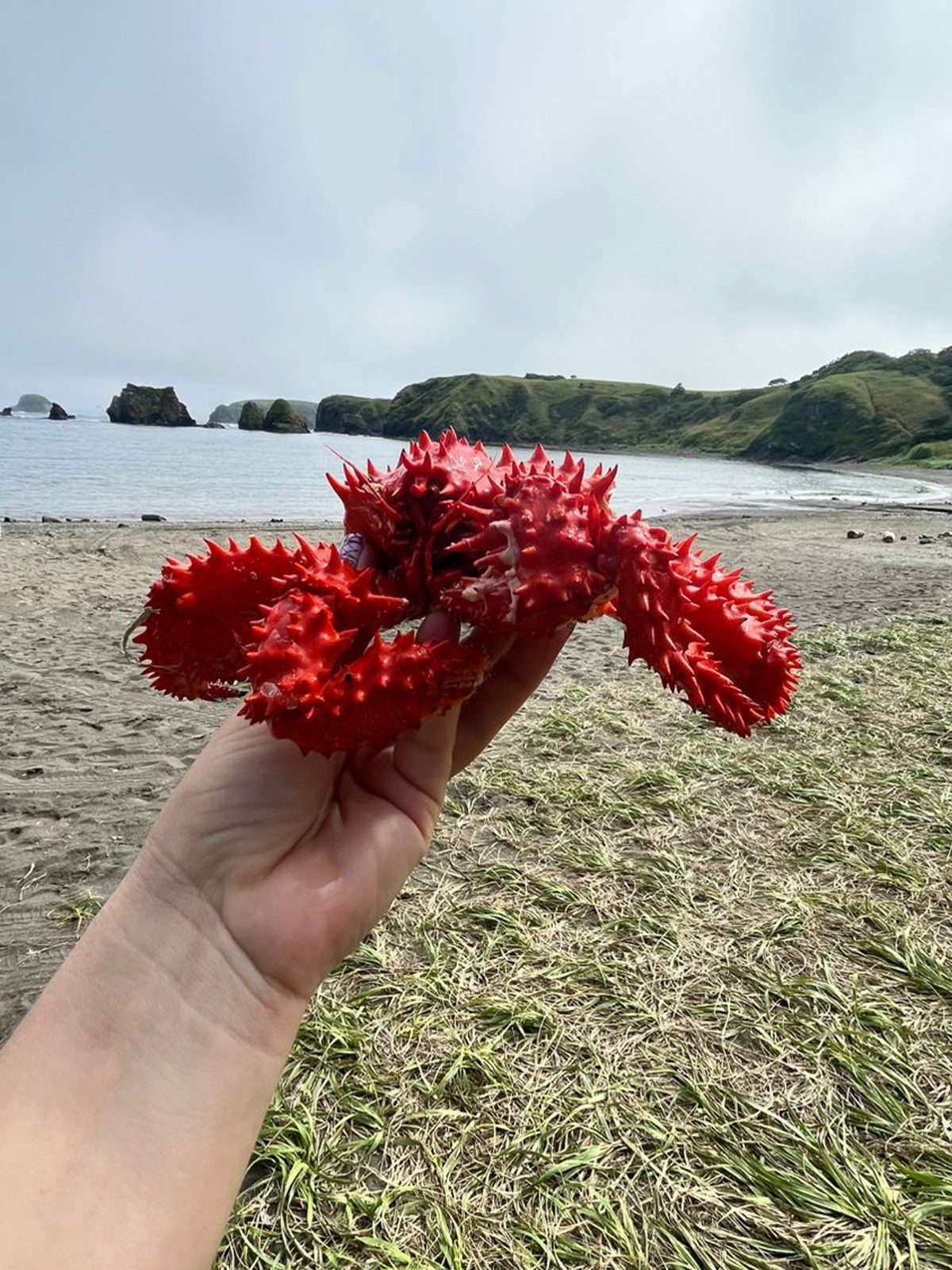 Фото из отзыва