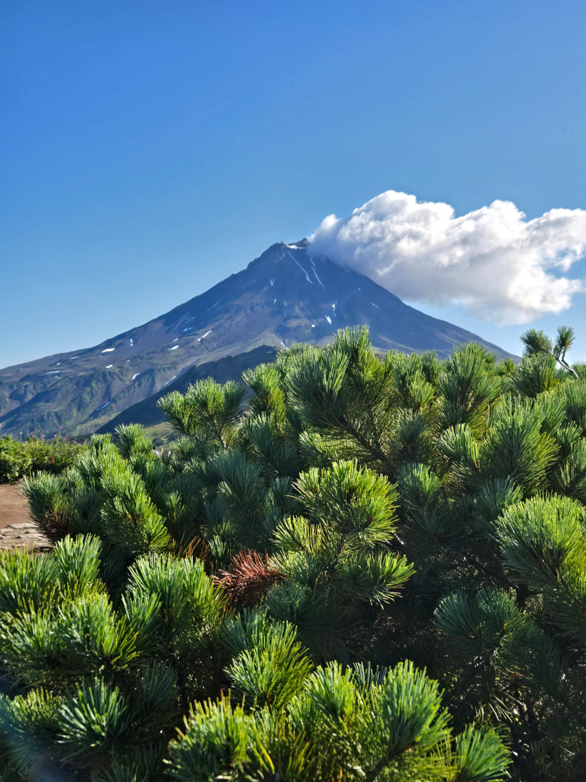 Фото из отзыва