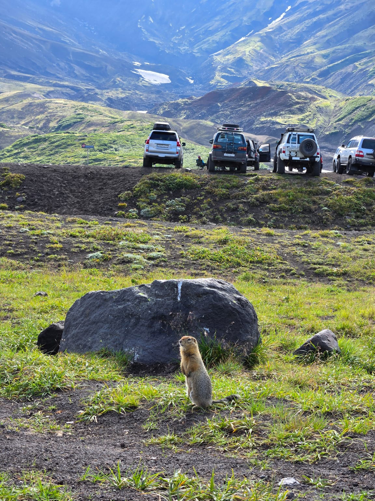 Фото из отзыва