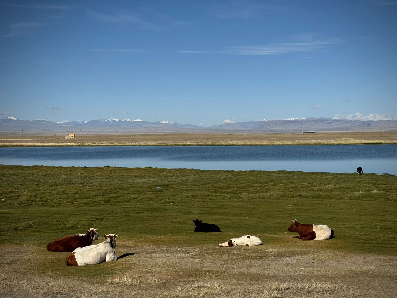 Фото из отзыва