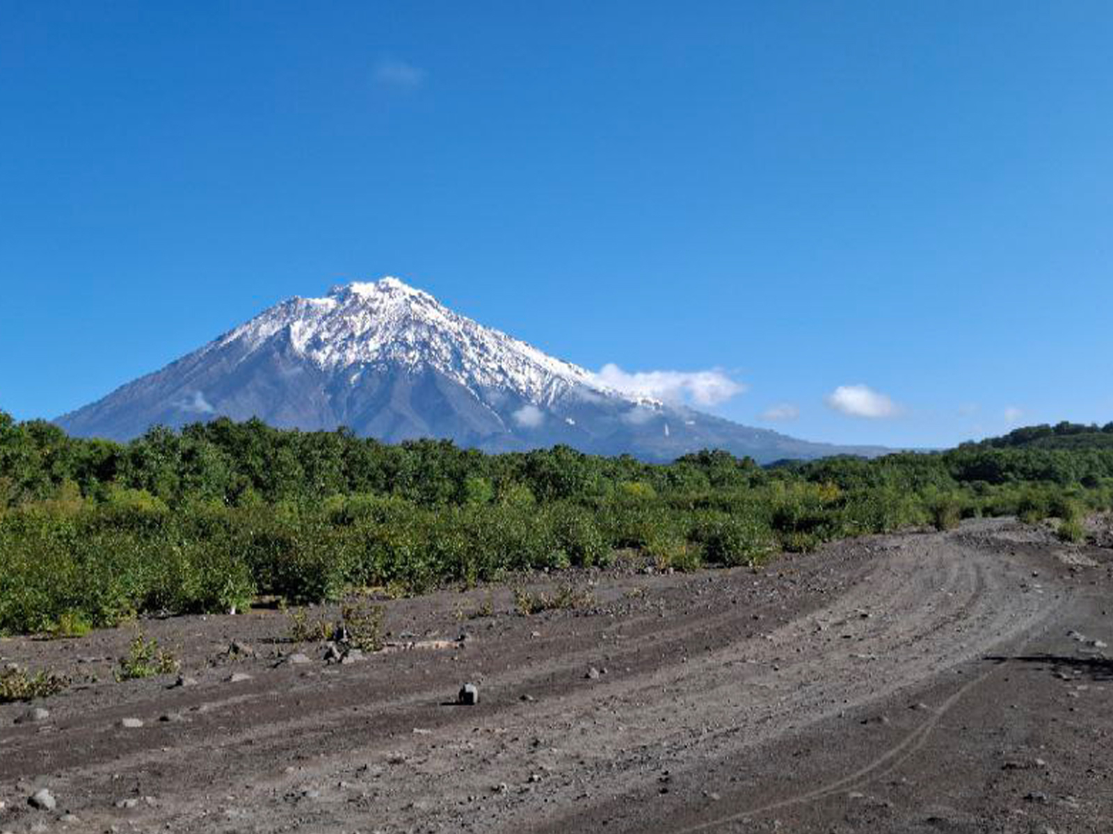 Фото из отзыва