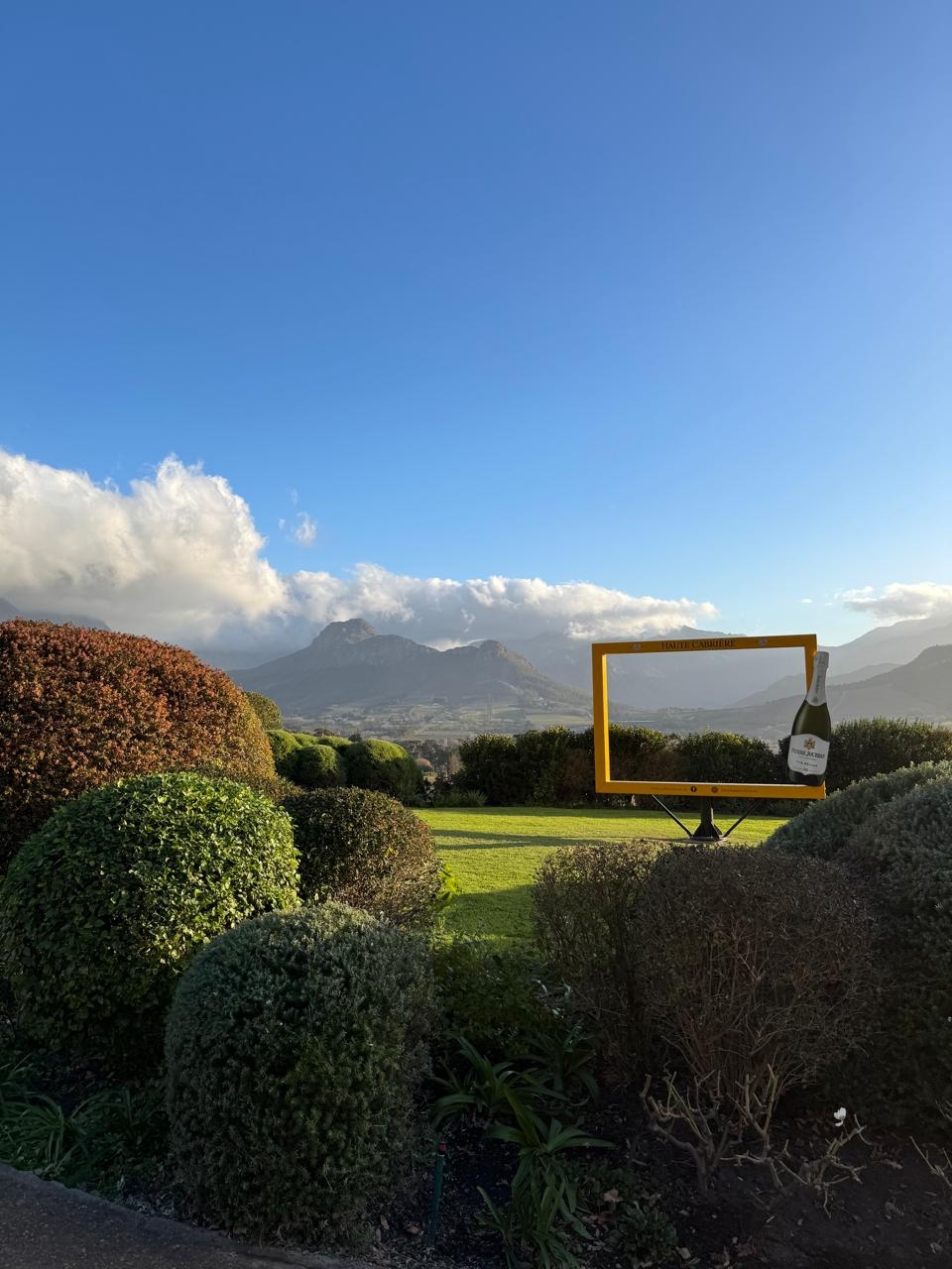 Фото из отзыва