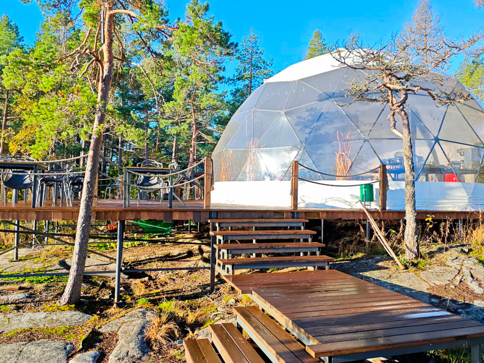 Фото из отзыва