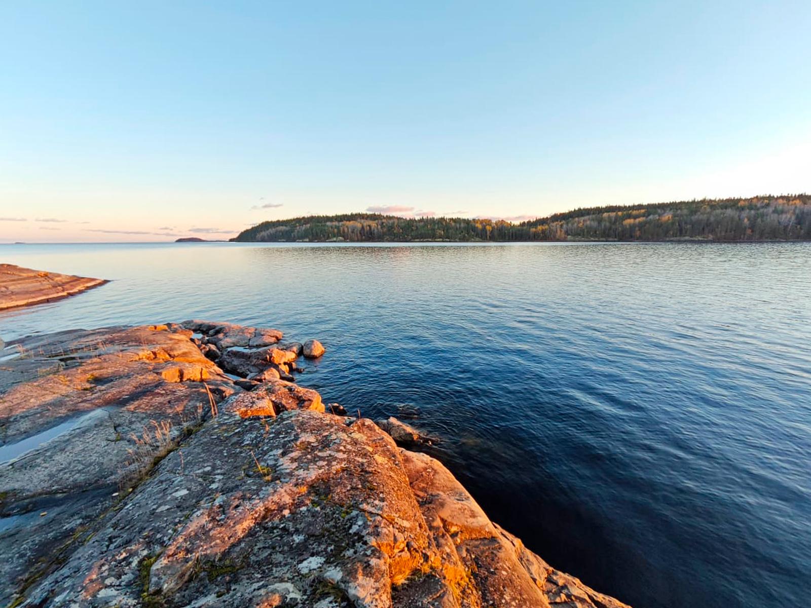 Фото из отзыва