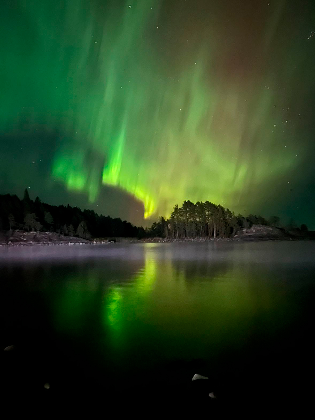 Фото из отзыва