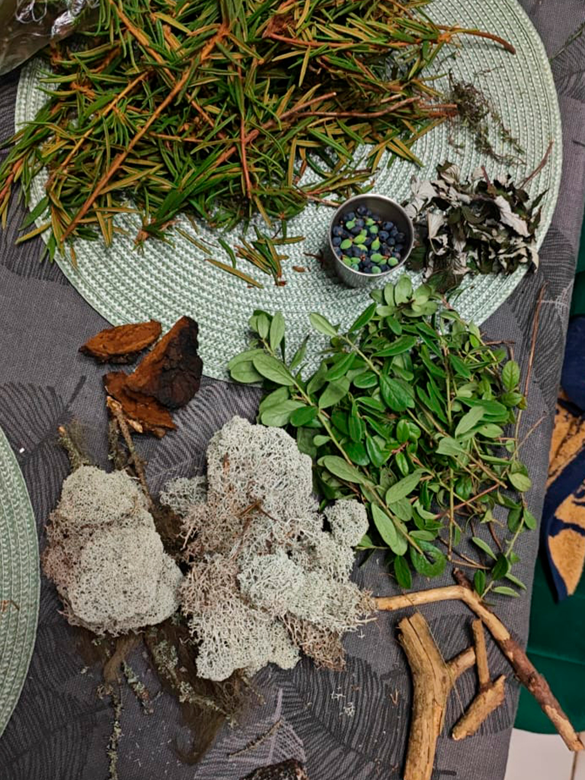 Фото из отзыва