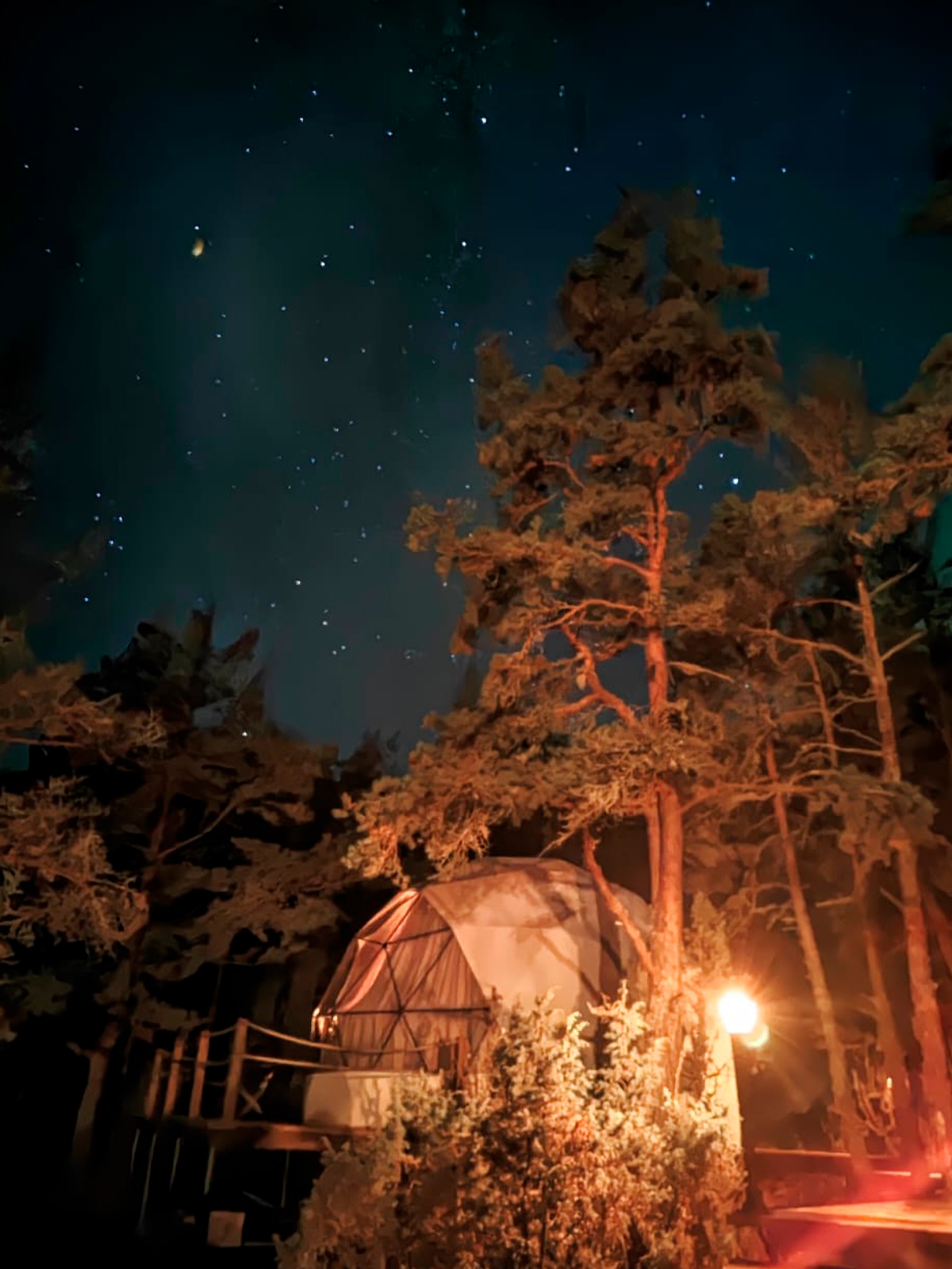 Фото из отзыва