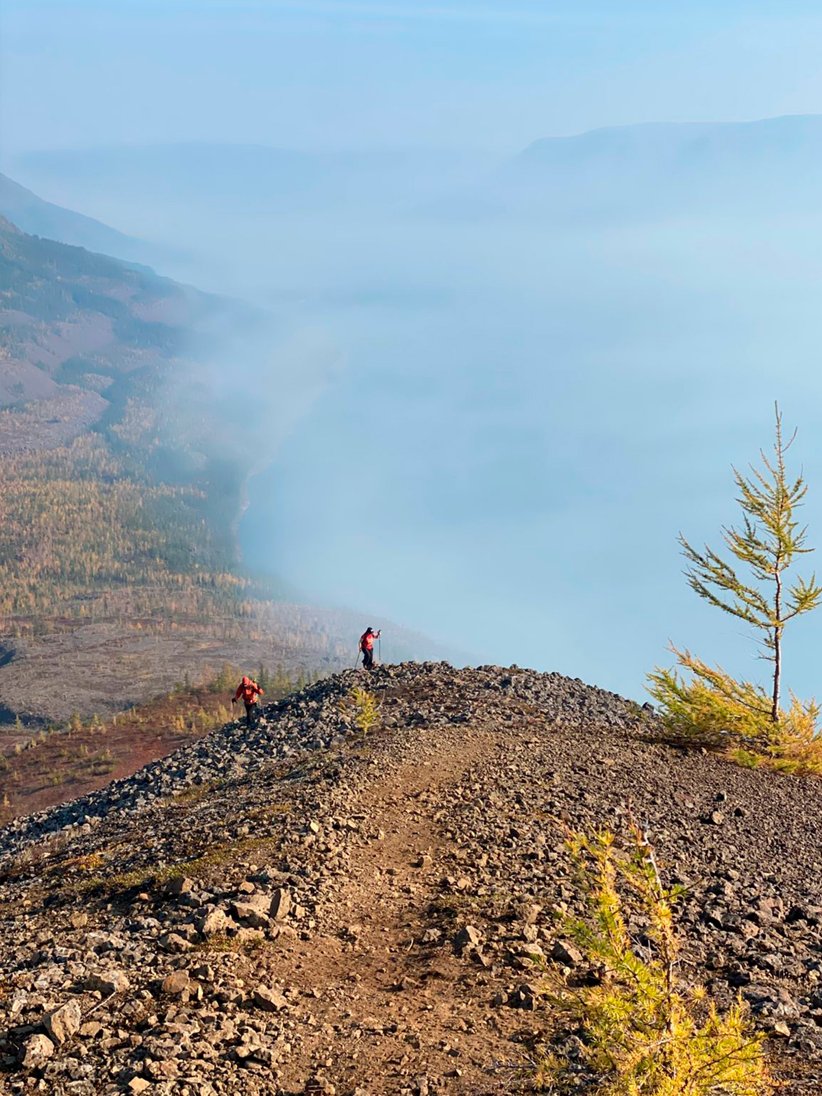 Фото из отзыва