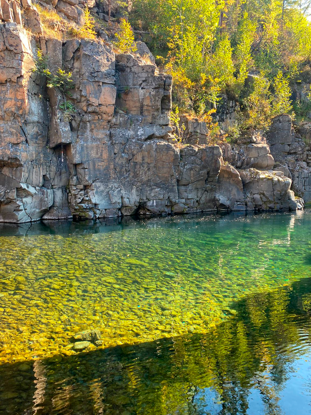 Фото из отзыва