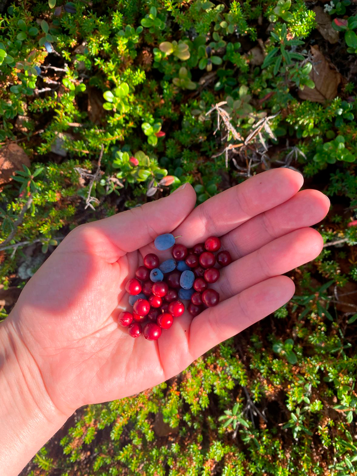 Фото из отзыва