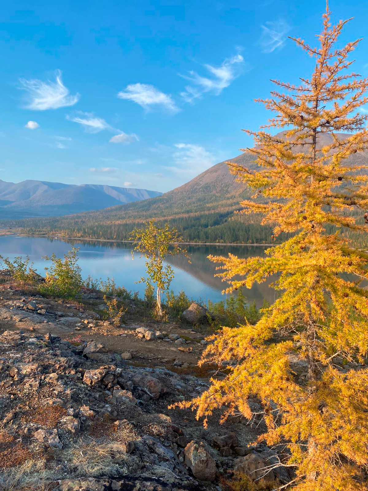 Фото из отзыва