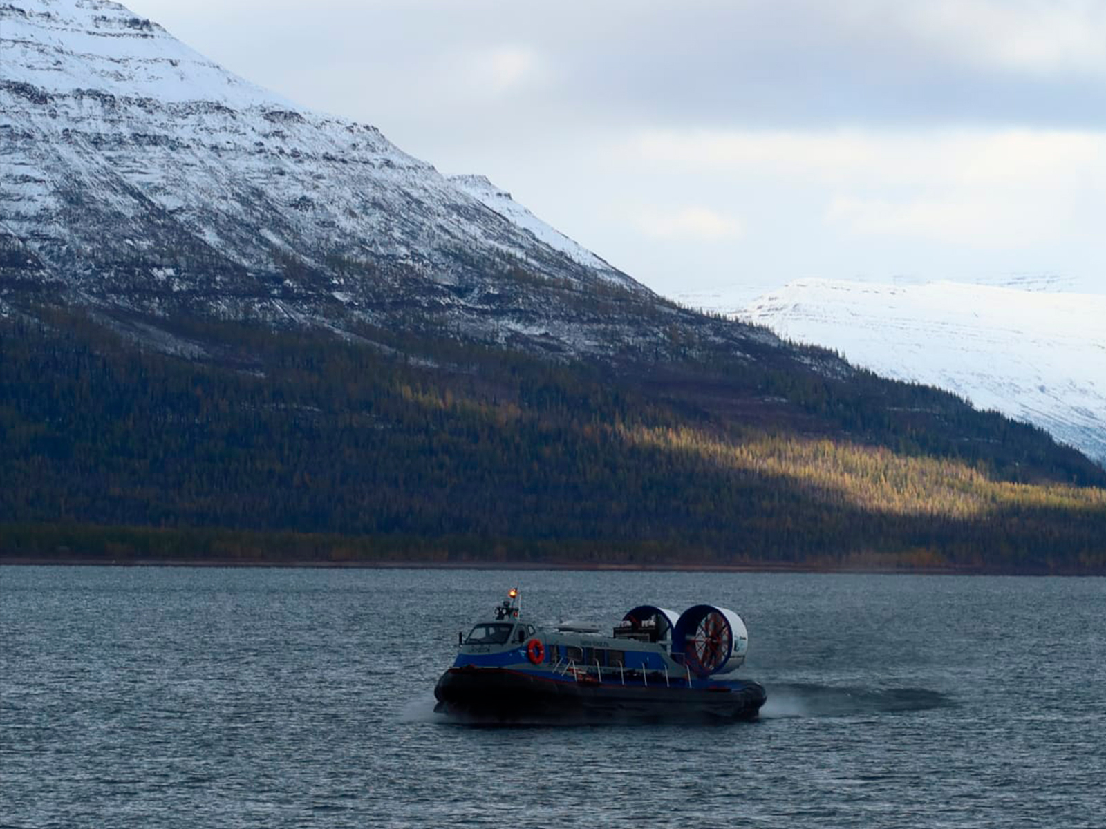 Фото из отзыва