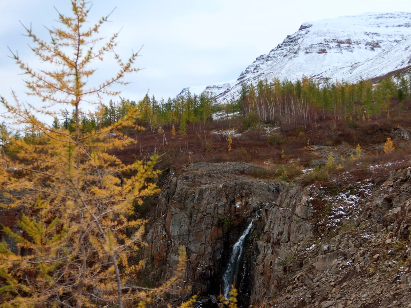 Фото из отзыва