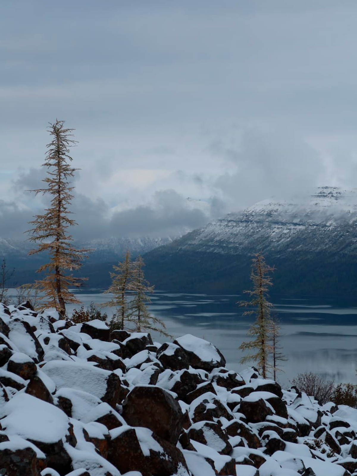 Фото из отзыва