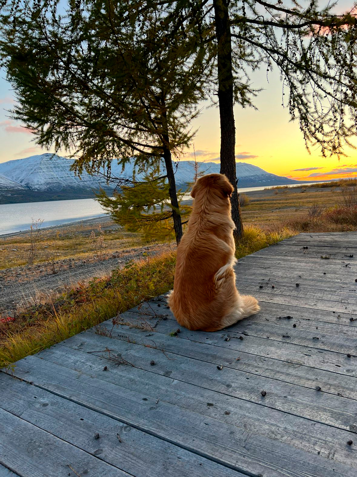 Фото из отзыва