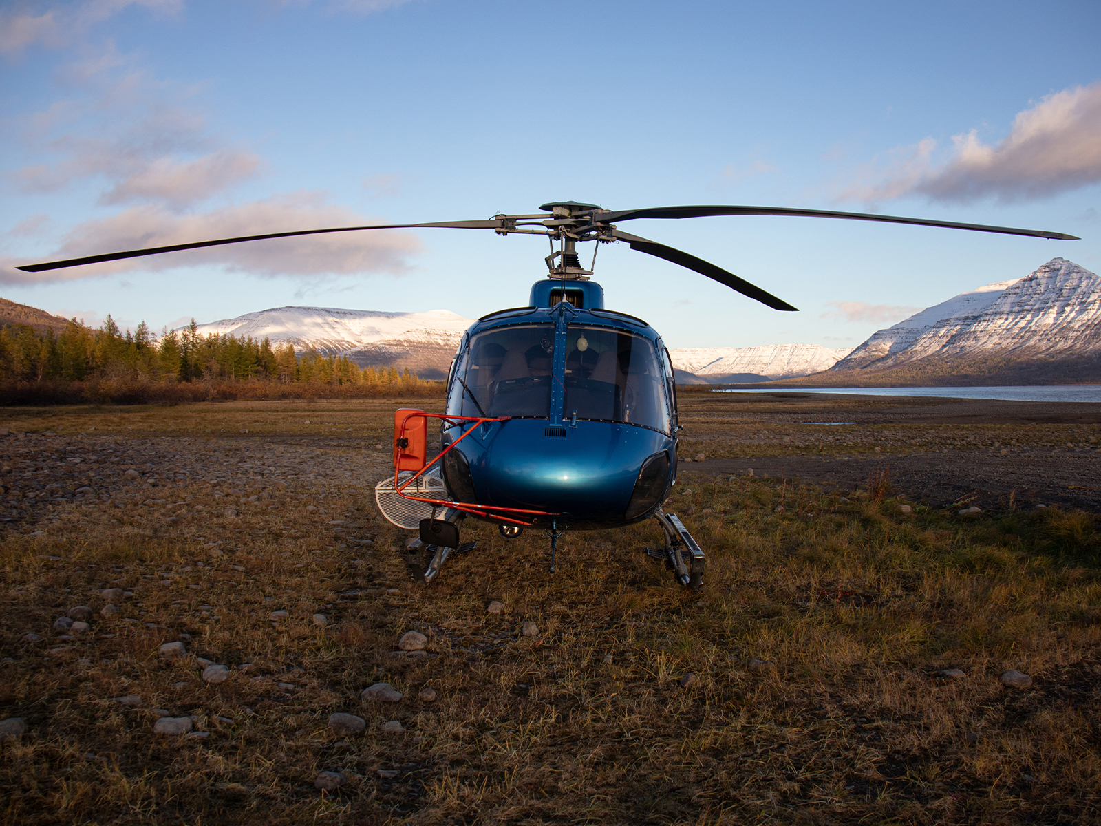 Фото из отзыва