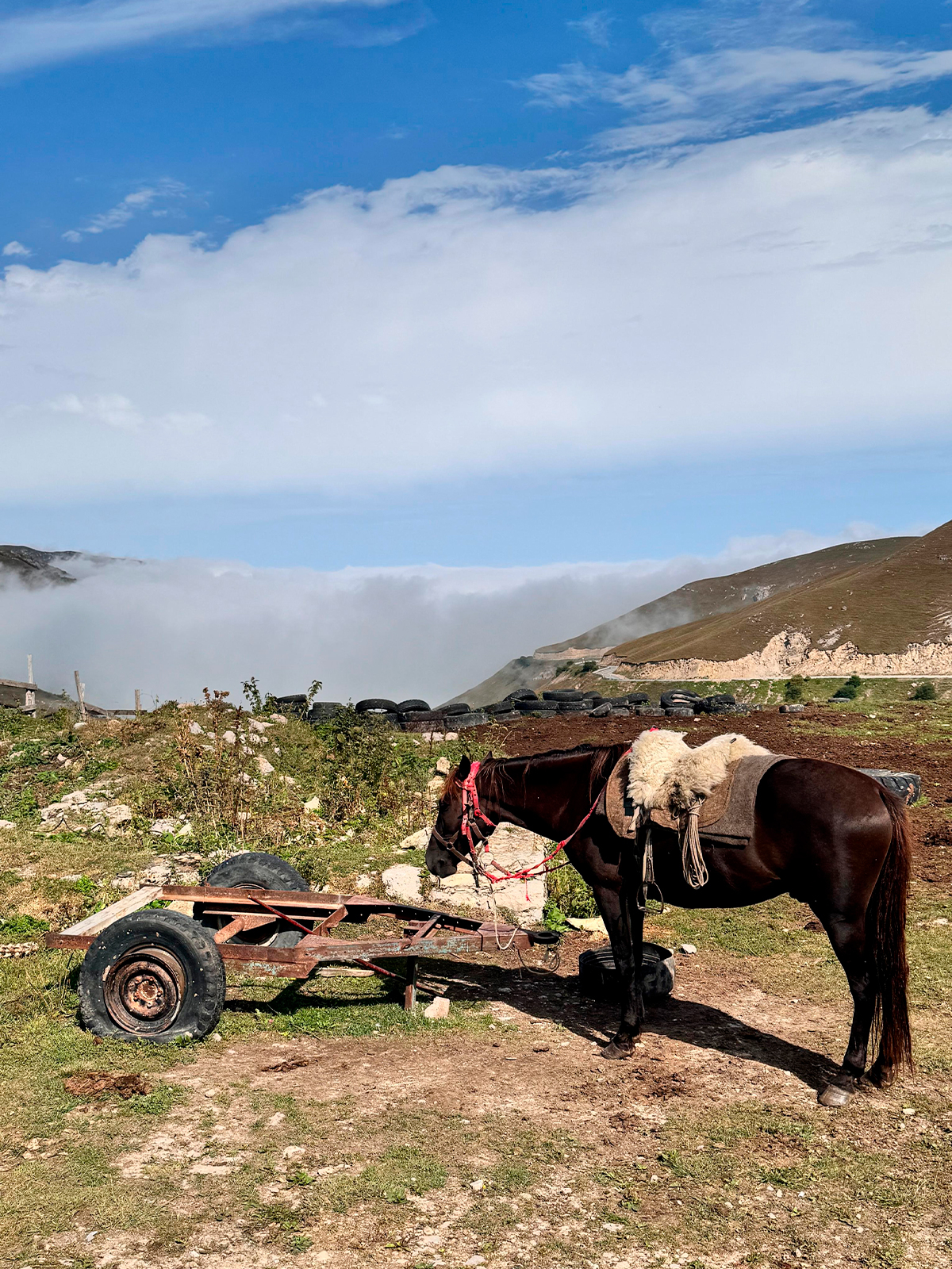 Фото из отзыва