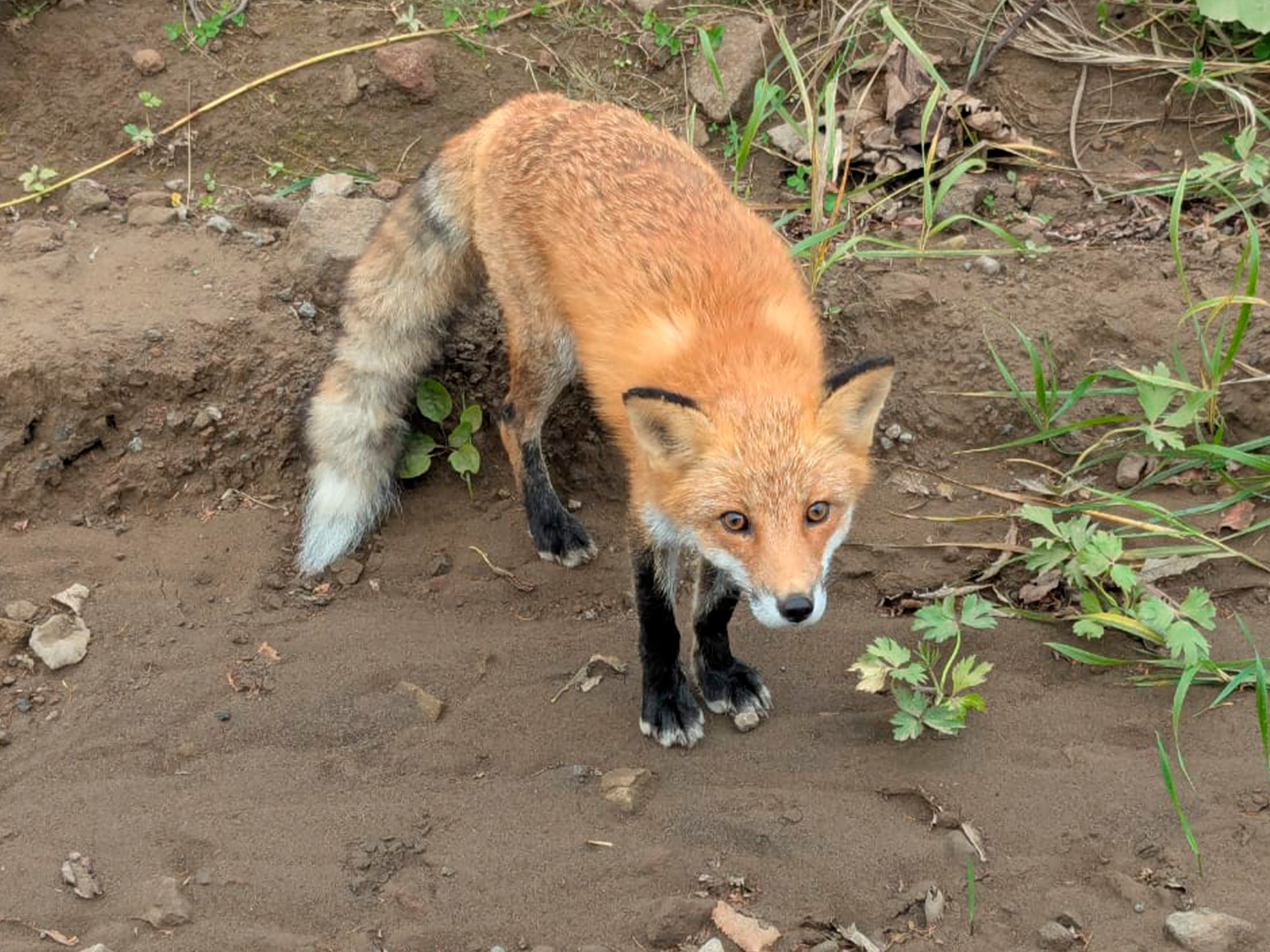 Фото из отзыва