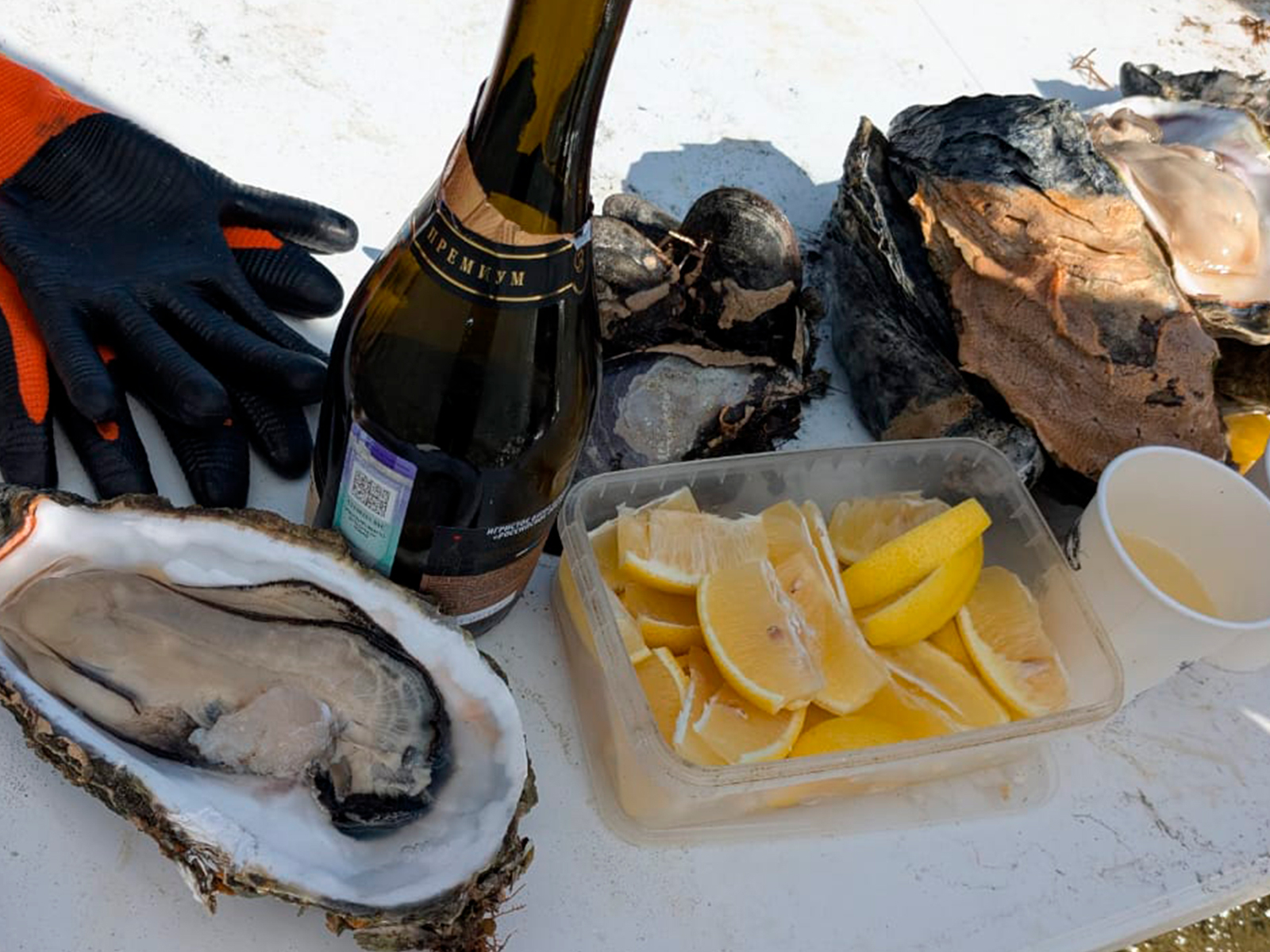 Фото из отзыва