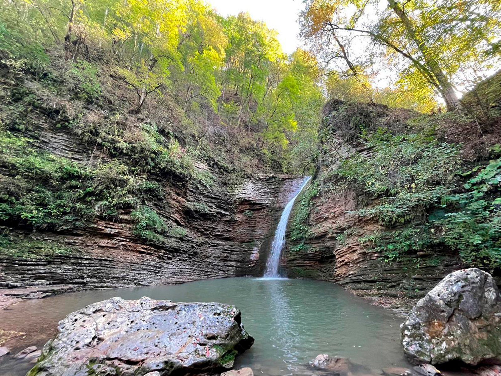 Фото из отзыва