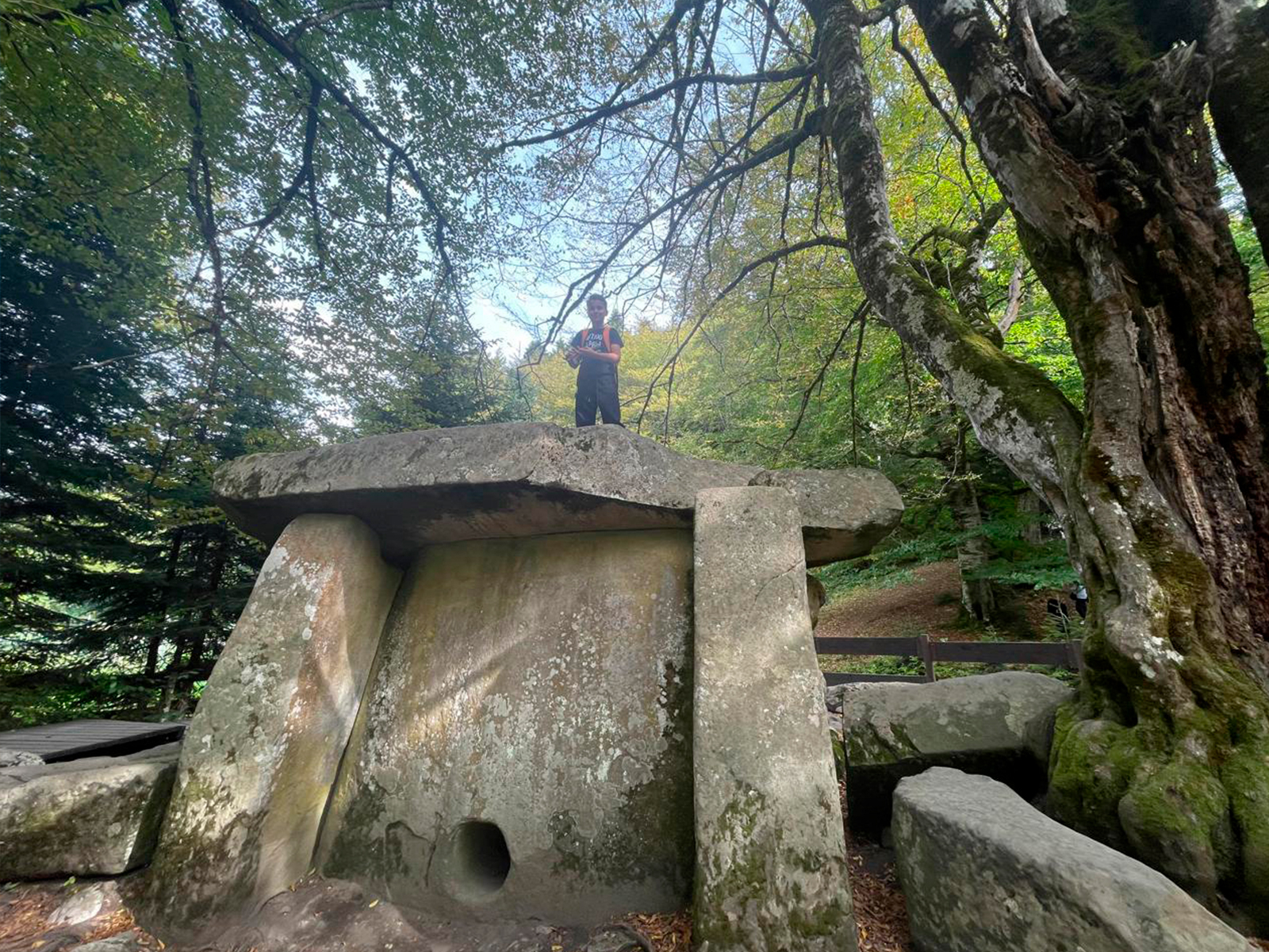 Фото из отзыва