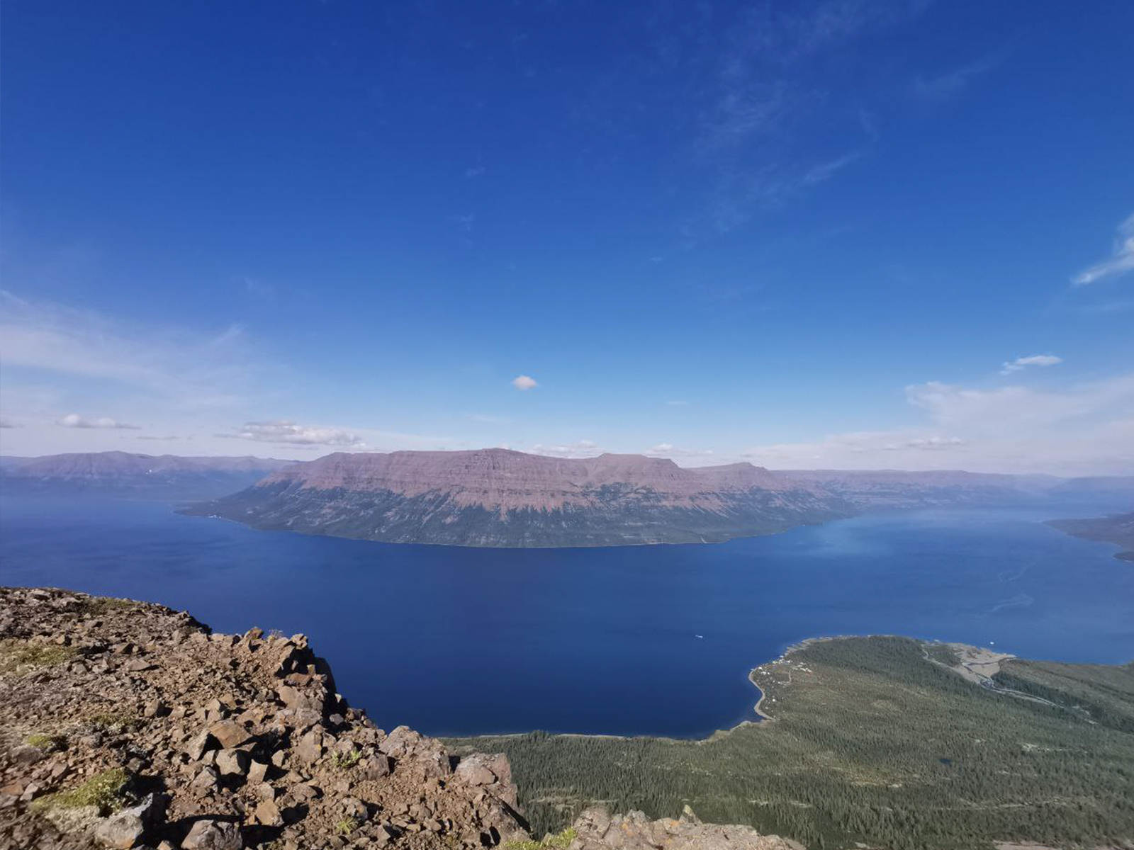 Фото из отзыва