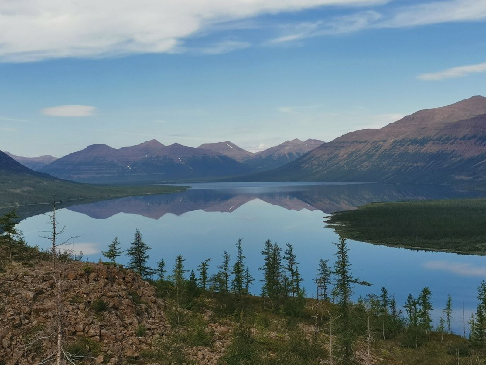 Фото из отзыва