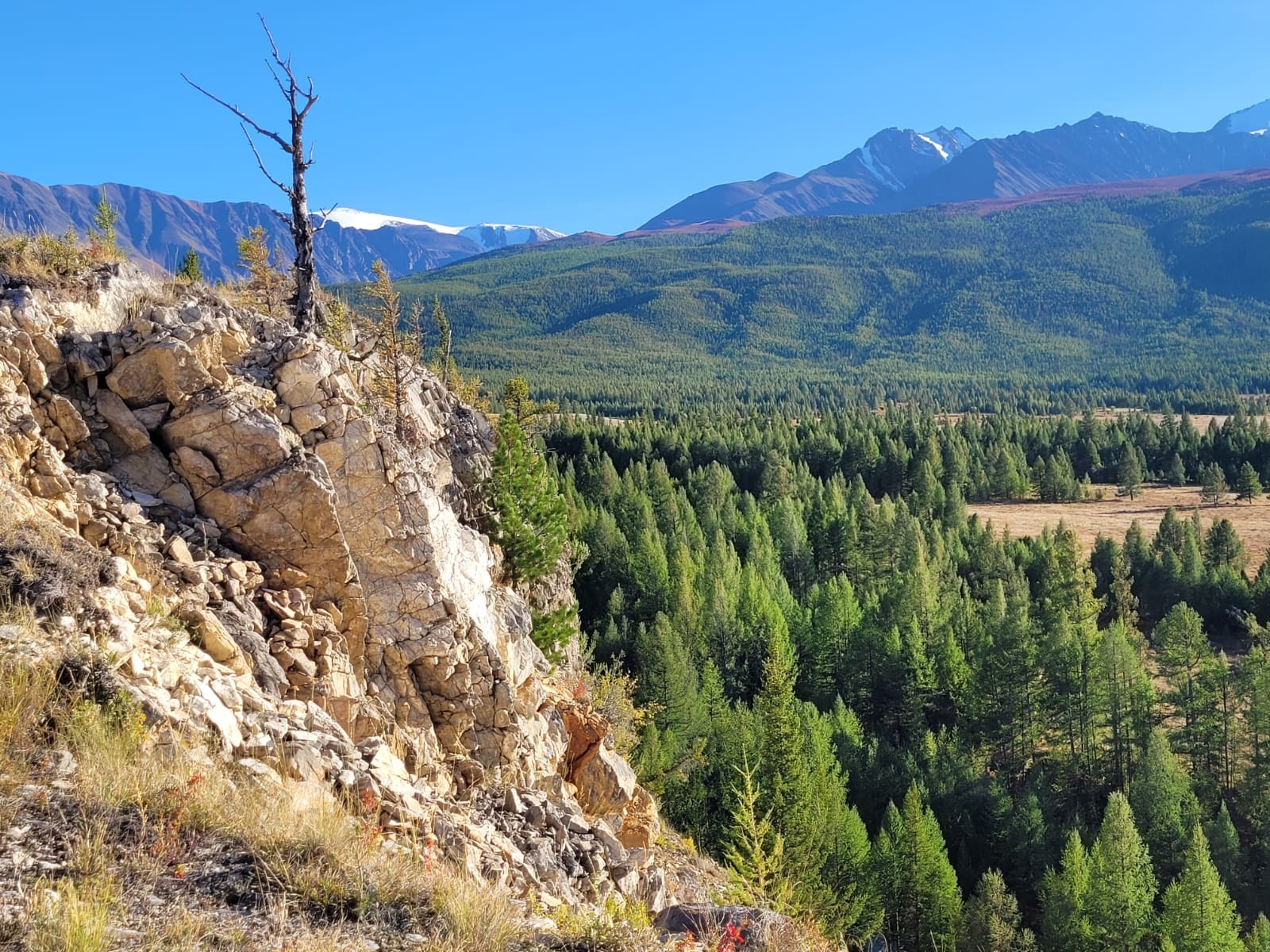 Фото из отзыва