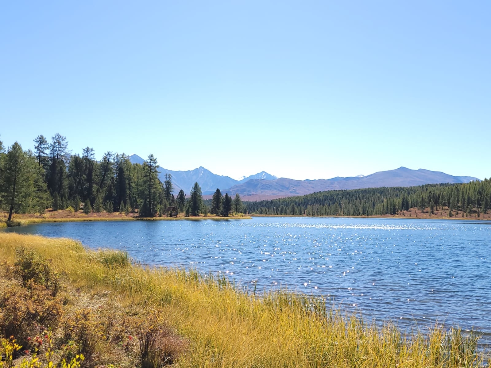 Фото из отзыва