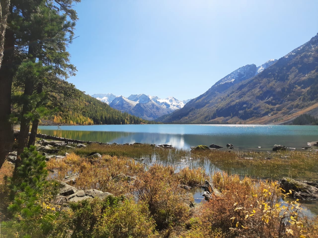 Фото из отзыва