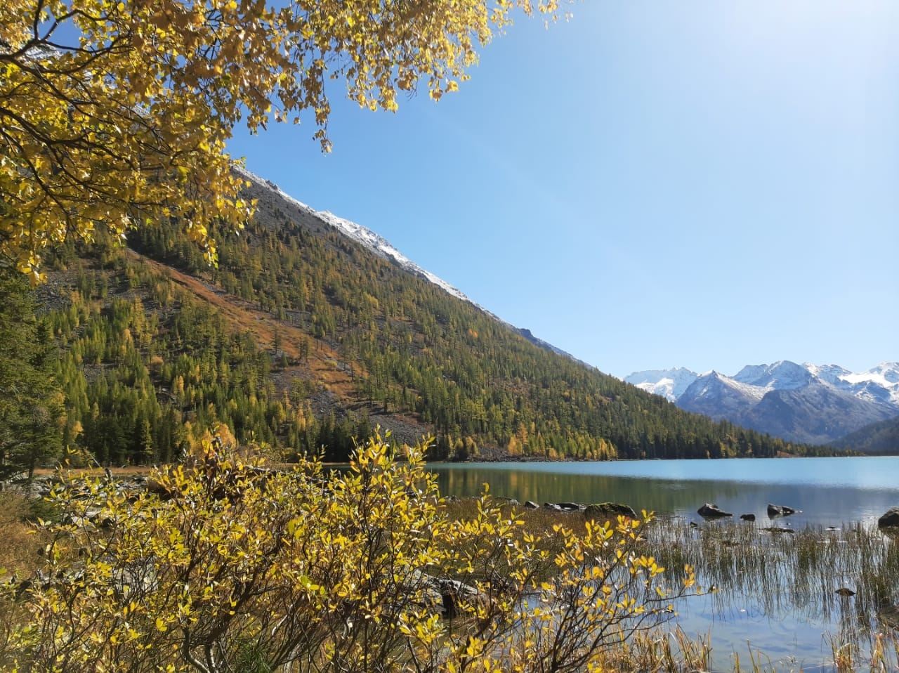 Фото из отзыва