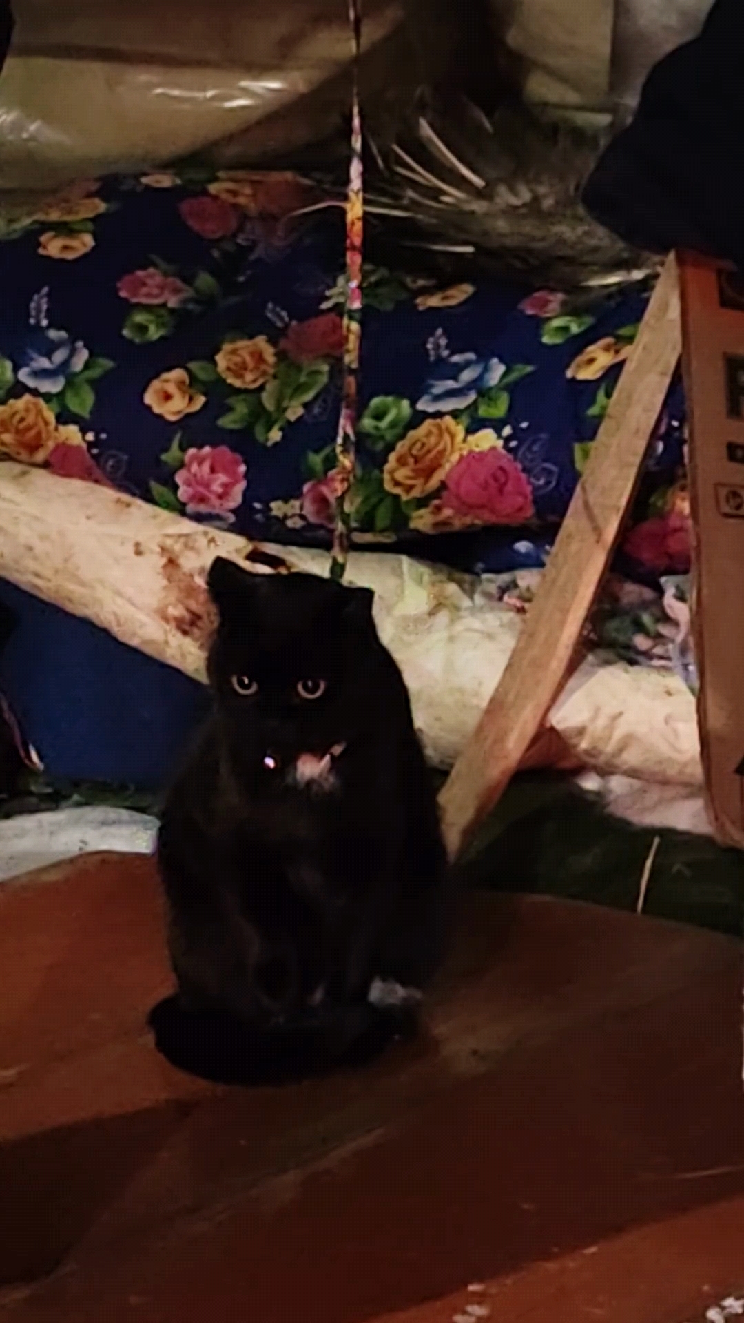 Фото из отзыва