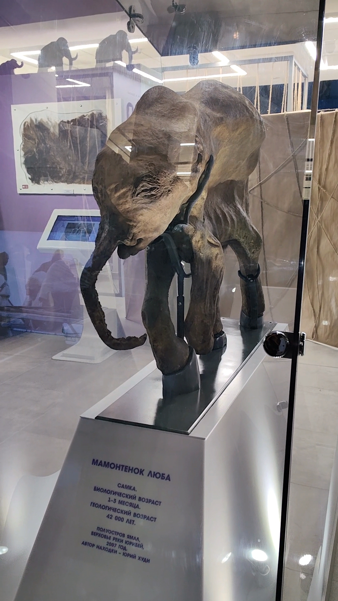 Фото из отзыва