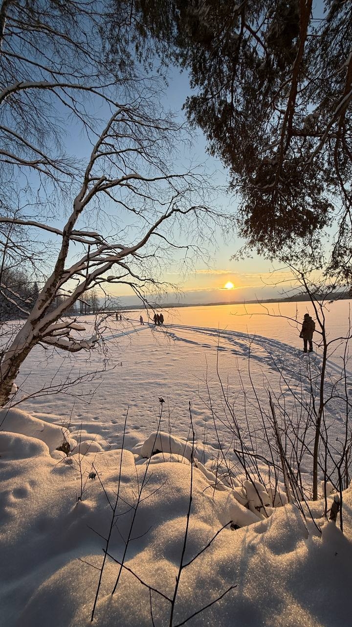 Фото из отзыва