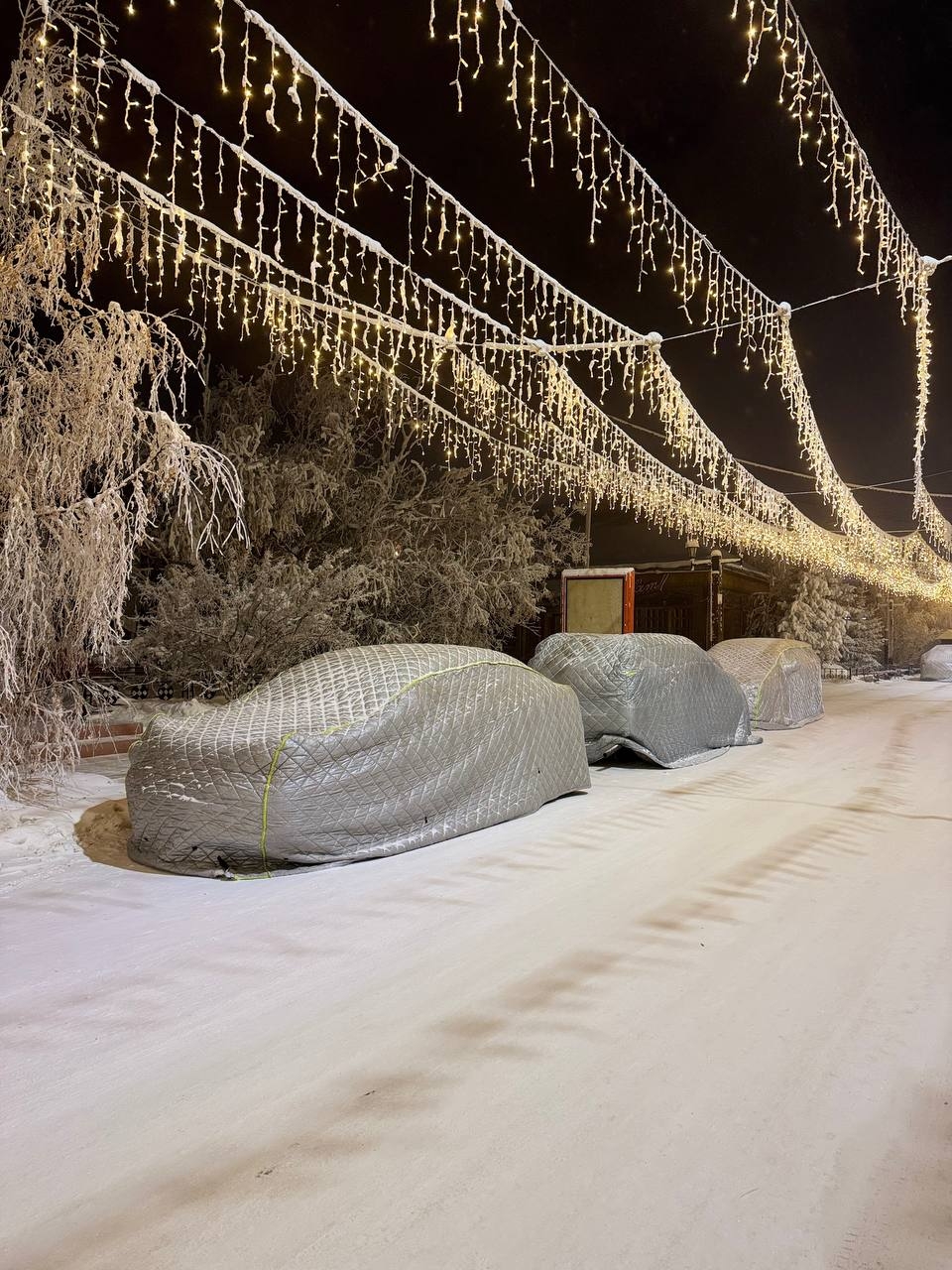 Фото из отзыва