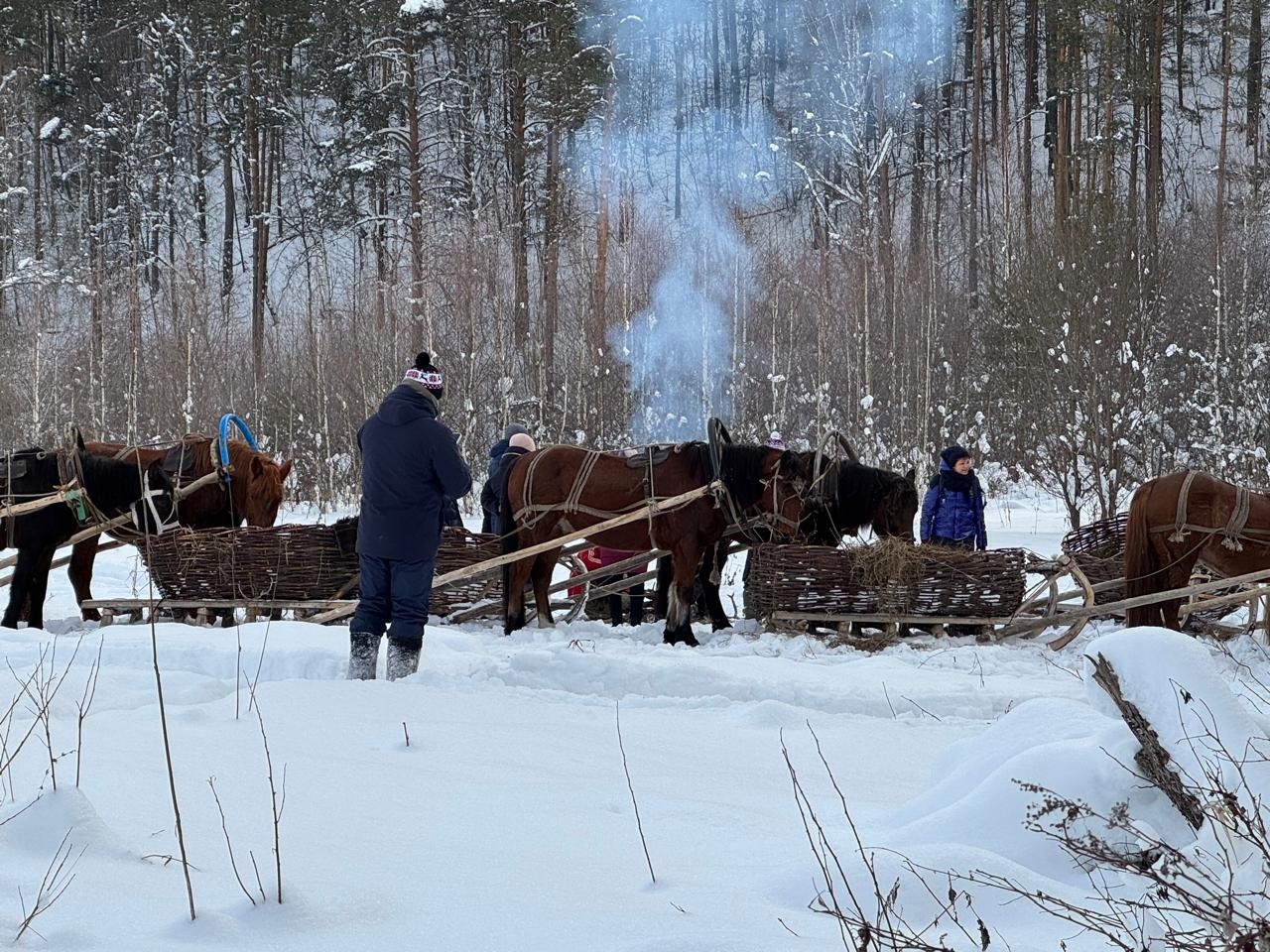 Фото из отзыва