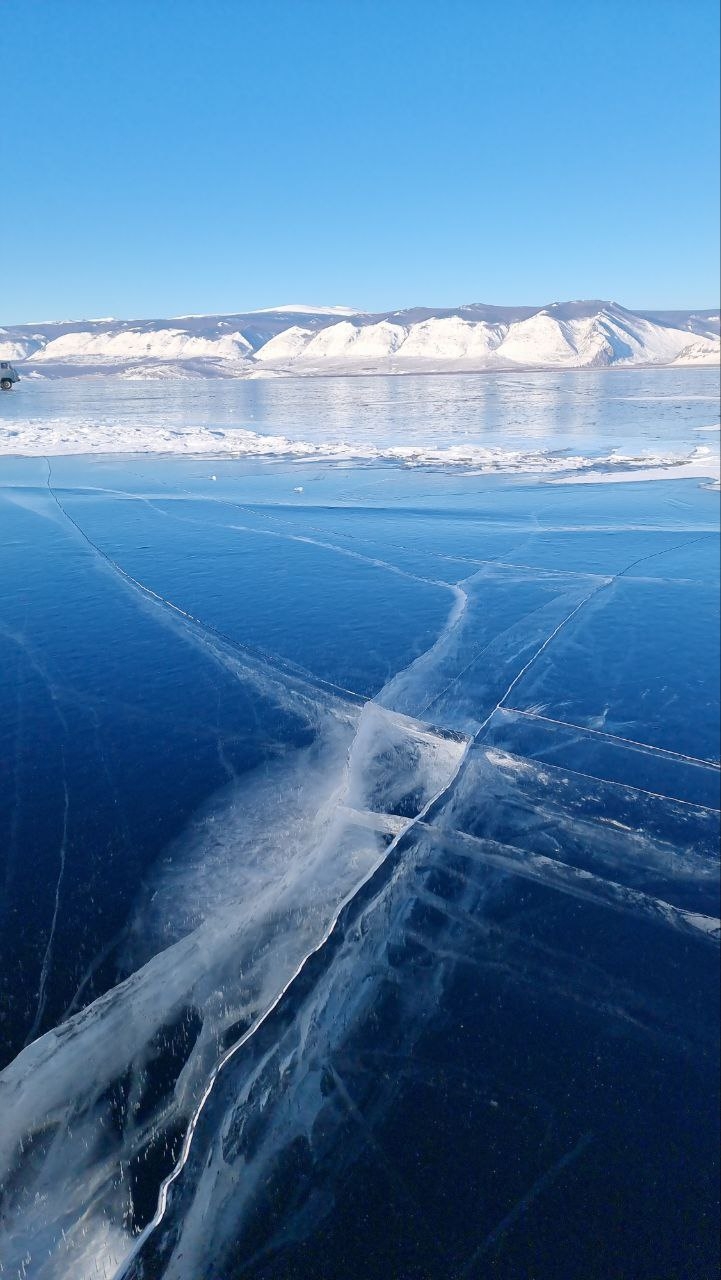 Фото из отзыва