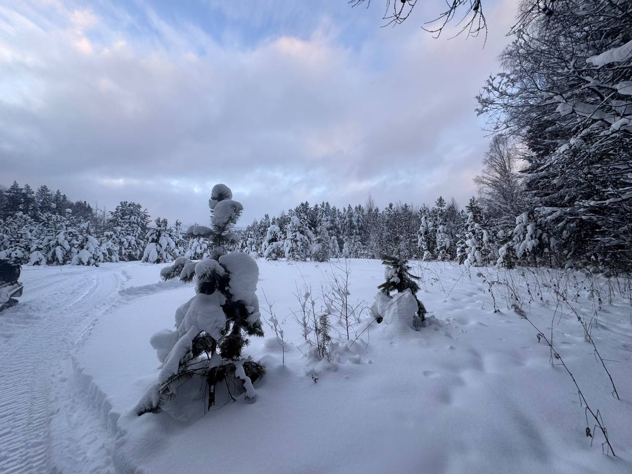 Фото из отзыва