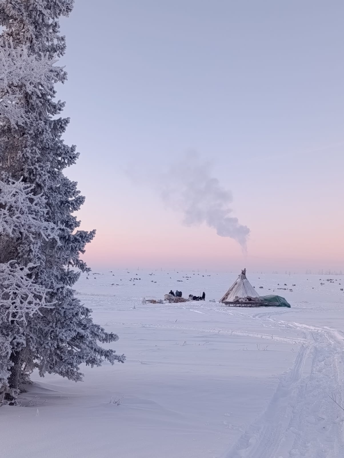 Фото из отзыва