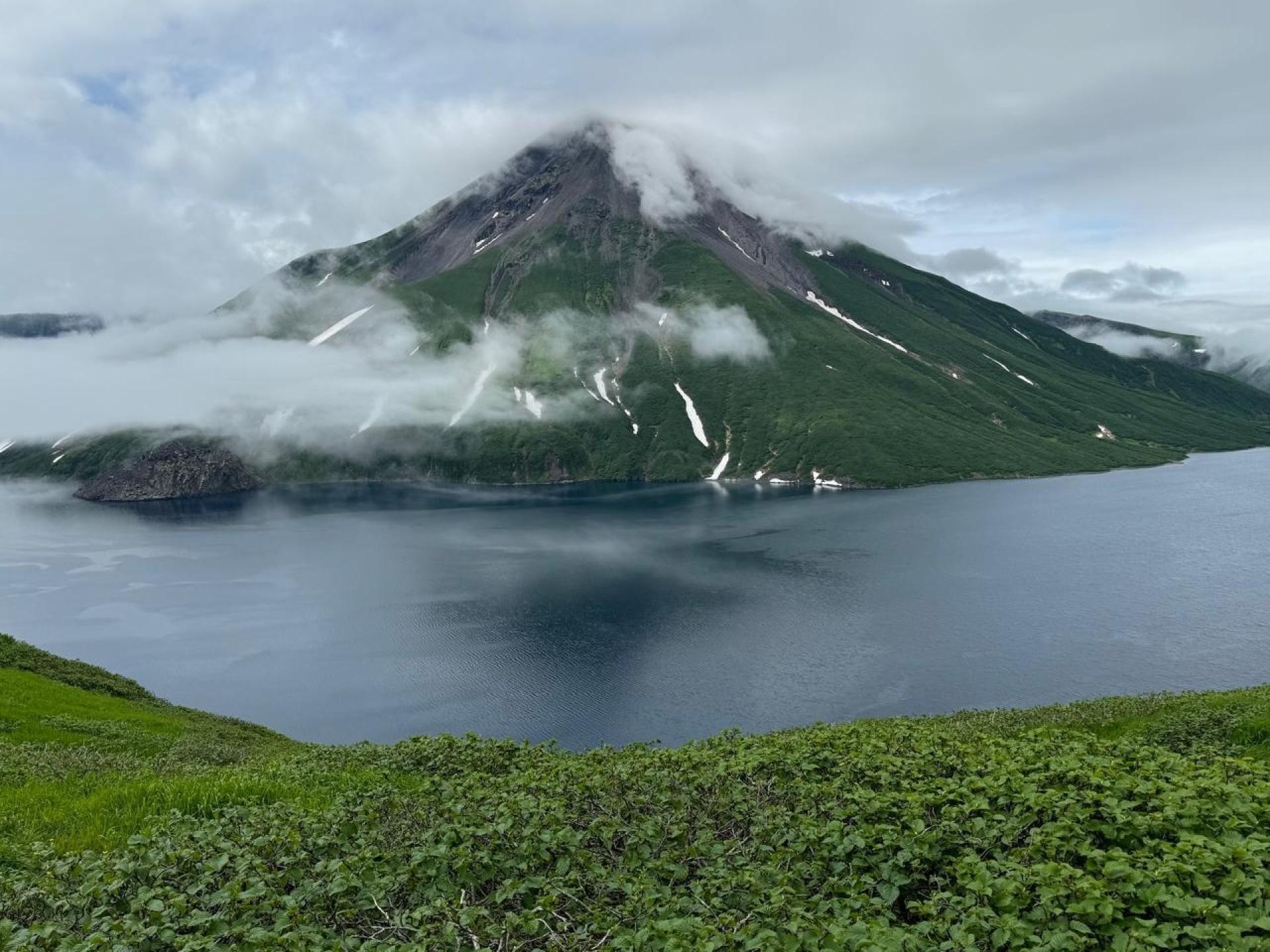 Фото из отзыва