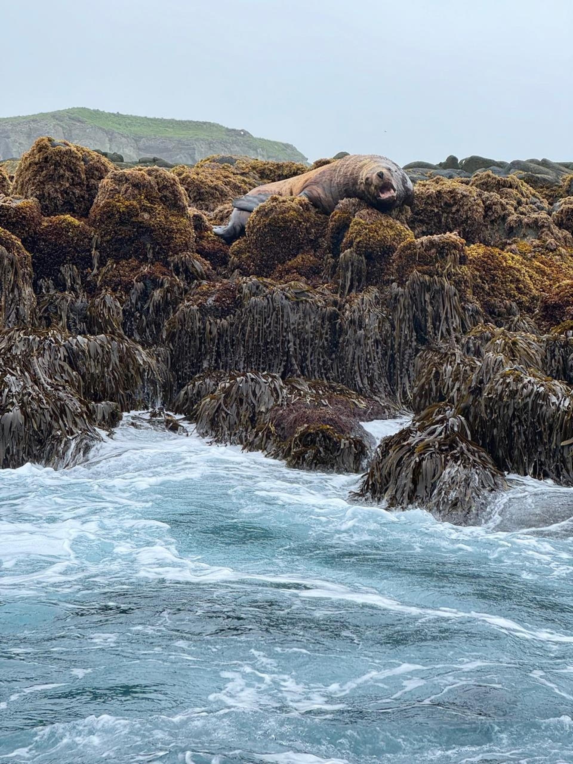 Фото из отзыва