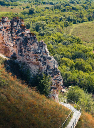 Воронежская область